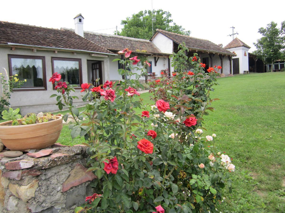 Guest House Vila Albedo Varna Bagian luar foto