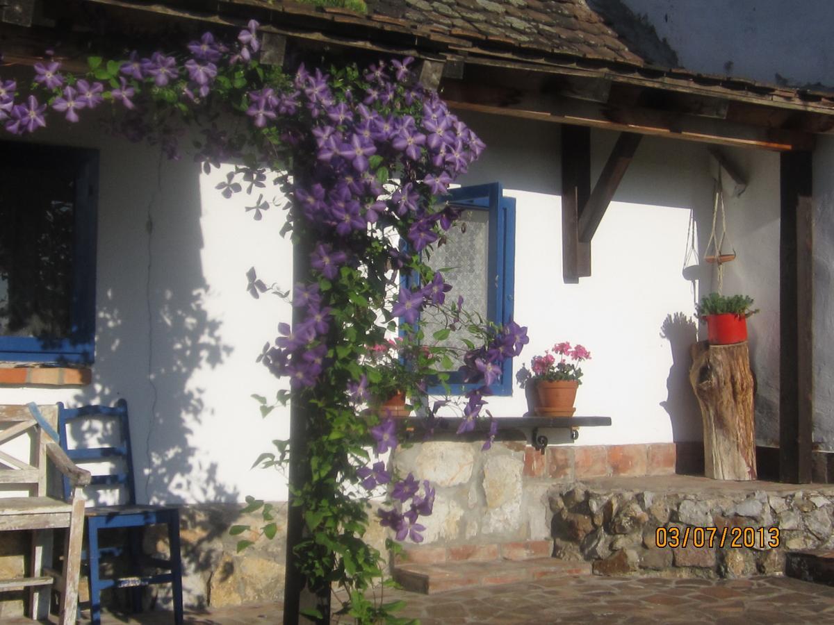 Guest House Vila Albedo Varna Bagian luar foto